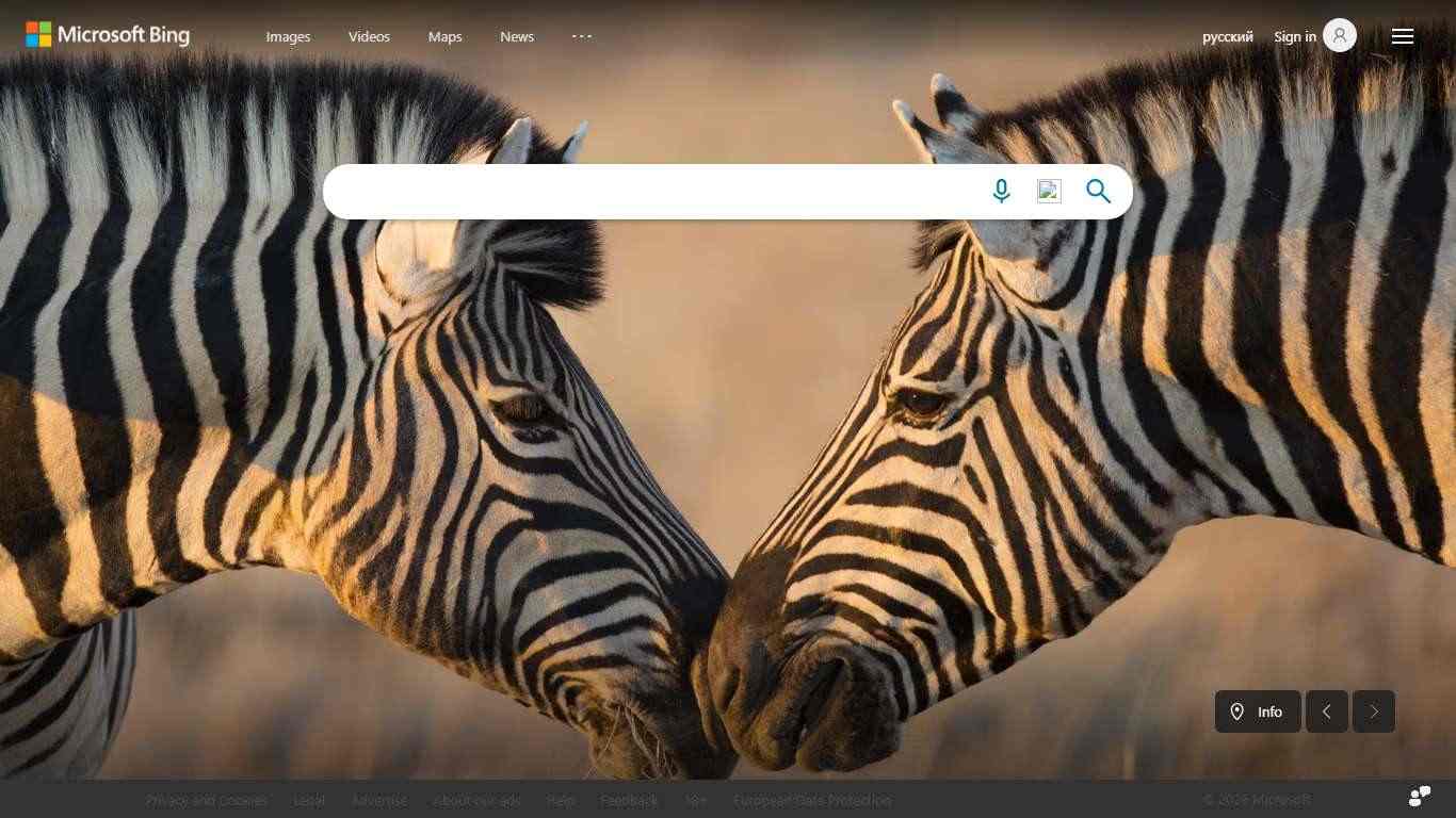 Search - Microsoft Bing